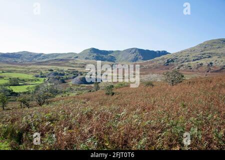 Dow Crag und der alte Mann von Coniston aus gesehen In der Nähe des Torver Beck Coniston Lake District Cumbria England Stockfoto