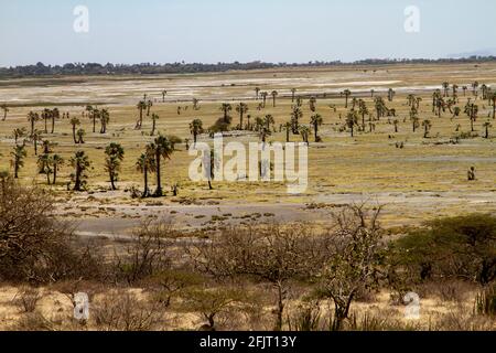 Afrika, Tansania, Lake Eyasi National Park Landschaft an einer niedrigen Wassermarke Stockfoto