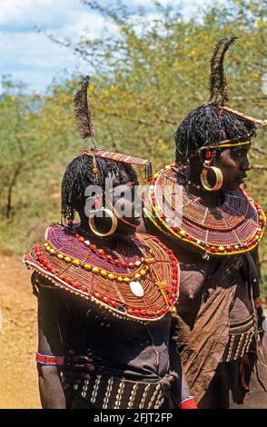 Pokot Frauen in traditioneller Kleidung die Pokot Menschen (Auch Pokoot geschrieben) Lebt in West Pokot County und Baringo County in Kenia Und im Pokot-Distrikt Stockfoto