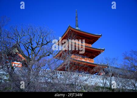 Der Kiyumizudera-Tempel steht am Wasser des Otowa-Wasserfalls, umgeben von Kirsch- und Ahornbäumen im Frühjahr. Sein Name bedeutet „Tempel des reinen Wassers“. Stockfoto