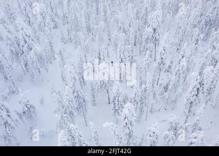 Schneeschuhwandern im verschneiten Wald 01 Stockfoto