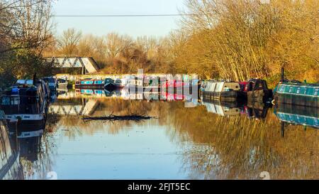 Ein Blick auf den Fluss Lee in Hackney im Januar Mit einem großen Stapel schwimmenden Holzes Stockfoto