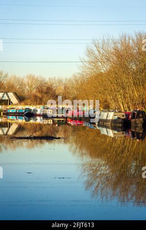 Ein Blick auf den Fluss Lee in Hackney im Januar Mit einem großen Stapel schwimmenden Holzes Stockfoto