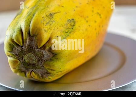 Formosa Sorte Papaya Frucht auf Holz Hintergrund. Papaya Formosa. Fruchtquelle reich an Nährstoffen. Essbare Früchte. Zutat für Säfte und Protein Sou Stockfoto