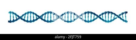 Doppelhelix-DNA-Molekül auf weißem Hintergrund isoliert. Molekulargenetik und Gentechnik. Stockfoto