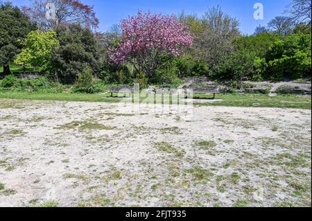 Brighton UK 26. April 2021 - das Gras im Queens Park Brighton ist ausgetrocknet, da das trockene, sonnige Wetter im gesamten Südosten anhält. Der 2021. April ist auf dem besten Weg, seit 1938 der trockenste seit Beginn der Aufzeichnungen in Großbritannien zu sein: Credit Simon Dack / Alamy Live News Stockfoto