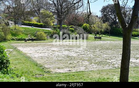 Brighton UK 26. April 2021 - das Gras im Queens Park Brighton ist ausgetrocknet, da das trockene, sonnige Wetter im gesamten Südosten anhält. Der 2021. April ist auf dem besten Weg, seit 1938 der trockenste seit Beginn der Aufzeichnungen in Großbritannien zu sein: Credit Simon Dack / Alamy Live News Stockfoto