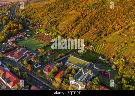 Tokaj, Ungarn - Luftaufnahme der weltberühmten ungarischen Weinberge der Tokajer Weinregion mit Weinkellern an einem warmen Herbstmorgen Stockfoto