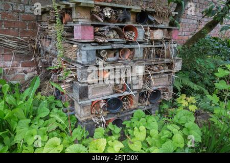 Insektenbox im Insektenhotel in einem ummauerten Garten, Scottish Borders, Großbritannien, Stockfoto