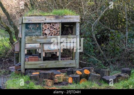 Bug Hotel, Caerlaverock Wildfowl & Wetland Trust Reserve, Dumfries & Galloway, Schottland Stockfoto