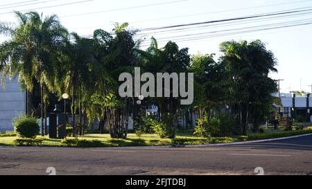 Fassade. Kondominium Eingang mit Platz mit Bäumen, Pflanzen und Büste eines Mannes in Brasilien, Südamerika, Stockfoto