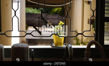 Angezeigt. Blumentopf und ein verbarbtes Fenster mit einem Bild der Straße, die im Haus wegen gesundheitlicher Probleme, einer Virusepidemie in Braz, stecken geblieben ist Stockfoto