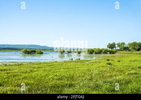 Überflutete Wiese durch ein Feuchtgebiet Stockfoto