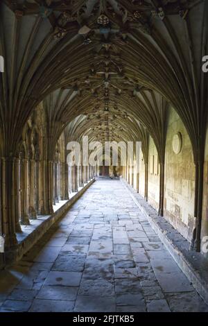 Bögen, die entlang des Gehwegs des Kreuzgangs von Canterbury führen Kathedrale Stockfoto