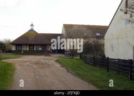 Tigiwinkles Wildlife Hospital in Buckinghamshire Bild David Sandison Stockfoto