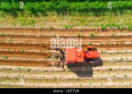 Boden bereitet sich auf die neue Ernte vor. Luftaufnahme von oben des Traktors, der auf dem landwirtschaftlichen Feld pflügt. Geschäftskonzept Landwirtschaft Stockfoto