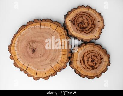 Ein großes rundes Stück Holz im Querschnitt mit einem Muster aus Holzringstruktur und Rissen. Drei Schnitte eines Baumes. Drei Planken. Loft-Stil Stockfoto