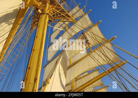 Caribbean Sea, das fünf-Mast-Schiff SPV Royal Clipper in Full Sails steigt ein Sailor in die Sail Stockfoto