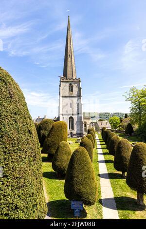 St Marys Kirche mit einigen seiner 99 Eibenbäume in der Cotswold Dorf Painswick, Gloucestershire UK Stockfoto