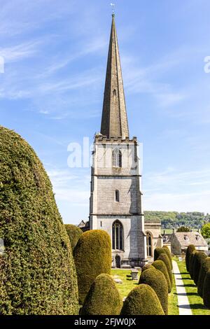 St Marys Kirche mit einigen seiner 99 Eibenbäume in der Cotswold Dorf Painswick, Gloucestershire UK Stockfoto