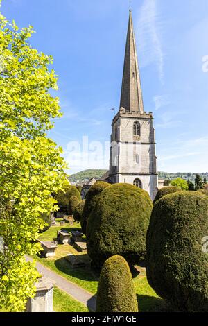 St Marys Kirche mit einigen seiner 99 Eibenbäume in der Cotswold Dorf Painswick, Gloucestershire UK Stockfoto