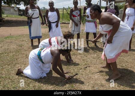 Gabun, Bezirk Ogooué-Ivindo, La Lopé, Frauen, die während der Einweihungszeremonie namens Maniangé tanzen Stockfoto