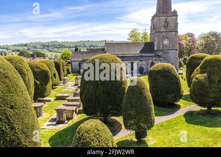 St Marys Kirche mit einigen seiner 99 Eibenbäume in der Cotswold Dorf Painswick, Gloucestershire UK Stockfoto