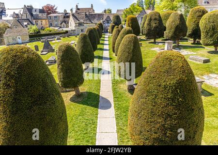 St Marys Kirchhof mit einigen seiner 99 Eibenbäume im Cotswold-Dorf Painswick, Gloucestershire, Großbritannien Stockfoto