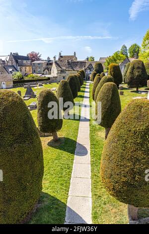 St Marys Kirchhof mit einigen seiner 99 Eibenbäume im Cotswold-Dorf Painswick, Gloucestershire, Großbritannien Stockfoto