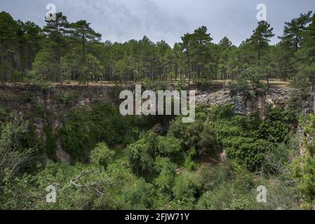 Karstlandschaft im Naturdenkmal von Palancares y Tierra Muerta, Provinz Cuenca, Spanien Stockfoto