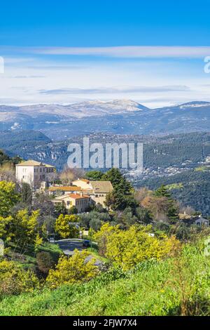 Frankreich, Var, Tanneron, gehocktes Dorf, umgeben von einem Wald aus Mimosen Stockfoto