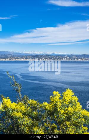 Frankreich, Alpes-Maritimes, Theoule-sur-Mer, Golf von La Napoule und Cannes, die schneebedeckten Südalpen im Hintergrund Stockfoto