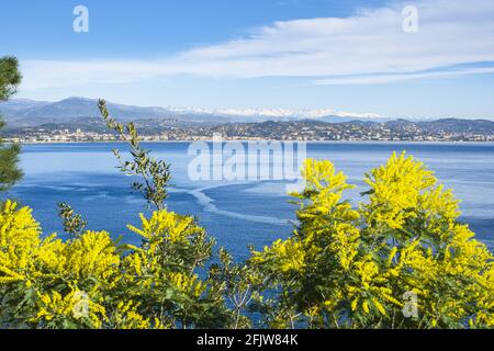 Frankreich, Alpes-Maritimes, Theoule-sur-Mer, Golf von La Napoule und Cannes, die schneebedeckten Südalpen im Hintergrund Stockfoto