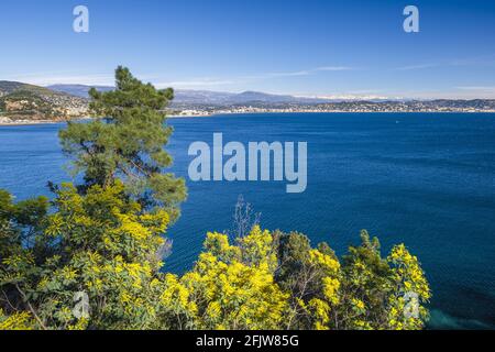 Frankreich, Alpes-Maritimes, Theoule-sur-Mer, Golf von La Napoule und Cannes, die schneebedeckten Südalpen im Hintergrund Stockfoto