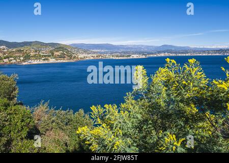 Frankreich, Alpes-Maritimes, Theoule-sur-Mer, Golf von La Napoule und Mandelieu, die schneebedeckten Südalpen im Hintergrund Stockfoto