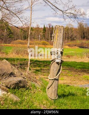 Ein Seil, das um einen Pfosten auf einer Farm gebunden ist Stockfoto