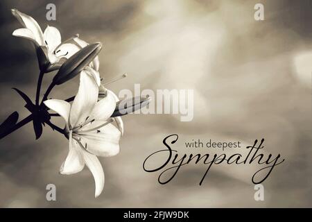 Sympathiekarte mit Lilienblumen Stockfoto