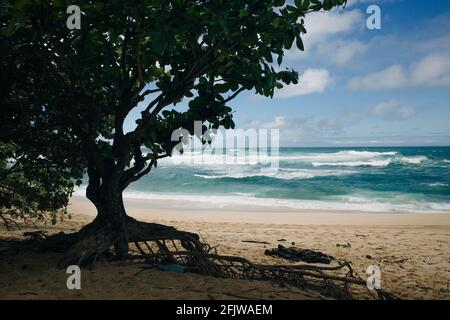 banzai-Pipeline am Nordufer der Insel Oahu, Hawaii. Hochwertige Fotos Stockfoto