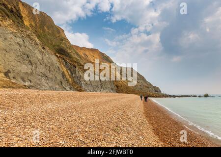 Das Land fällt im April 2021 in Dorset, England, am Ridge Cliff am Strand von Seatown Stockfoto