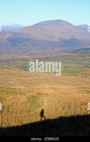 Schatten eines Wanderers auf dem Weg nach Moelwyn Bach mit Blick auf Moel Hebog, Croesor, Wales Stockfoto