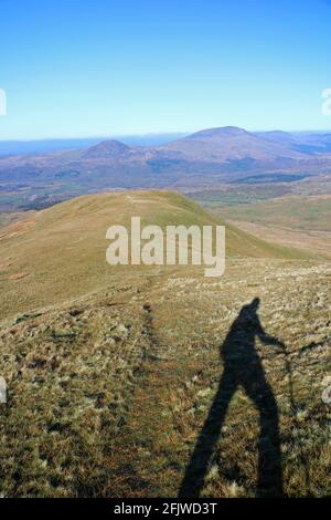 Schatten eines Wanderers auf dem Weg nach Moelwyn Bach mit Blick auf Moel Hebog, Croesor, Wales Stockfoto