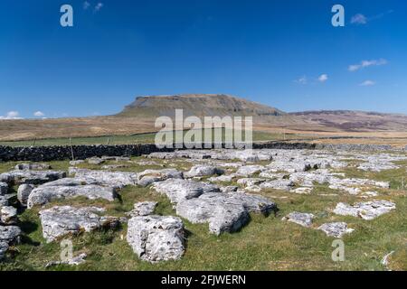 Kalksteinpflaster am Rande von Penyghent fiel von Silverdale Road auf Fountains Fell im Frühjahr. North Yorkshire, Großbritannien. Stockfoto