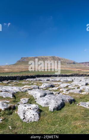 Kalksteinpflaster am Rande von Penyghent fiel von Silverdale Road auf Fountains Fell im Frühjahr. North Yorkshire, Großbritannien. Stockfoto