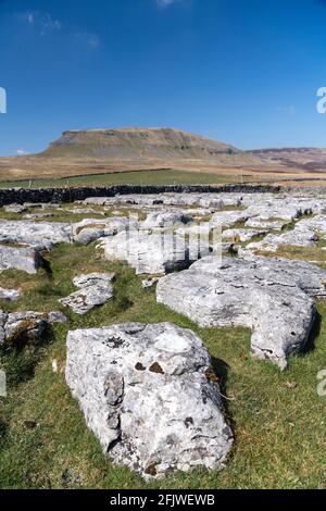 Kalksteinpflaster am Rande von Penyghent fiel von Silverdale Road auf Fountains Fell im Frühjahr. North Yorkshire, Großbritannien. Stockfoto