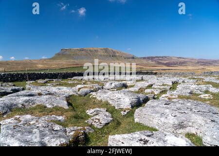 Kalksteinpflaster am Rande von Penyghent fiel von Silverdale Road auf Fountains Fell im Frühjahr. North Yorkshire, Großbritannien. Stockfoto