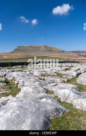 Kalksteinpflaster am Rande von Penyghent fiel von Silverdale Road auf Fountains Fell im Frühjahr. North Yorkshire, Großbritannien. Stockfoto