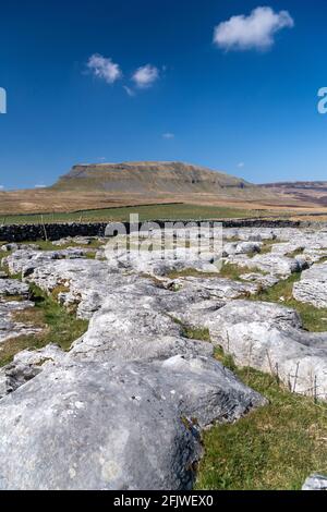 Kalksteinpflaster am Rande von Penyghent fiel von Silverdale Road auf Fountains Fell im Frühjahr. North Yorkshire, Großbritannien. Stockfoto