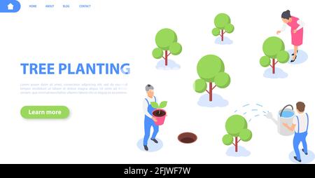 Die Menschen Pflanzen Bäume. Schaffung des Parks. Das Konzept der Verbesserung der Ökologie und der Umwelt. Isometrische Darstellung des flachen Vektorgrafikes. Stock Vektor