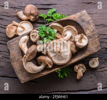 Shiitake essbare Pilze in der Holzplatte auf Holztisch mit Kräutern. Draufsicht. Stockfoto