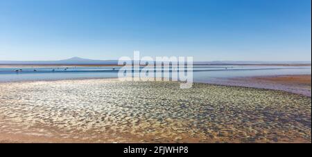 Wunderschöne Landschaft der Lagune von Chaxa mit Spiegelung der Umgebung und blauem Himmel im Salar von Atacama, Chile Stockfoto